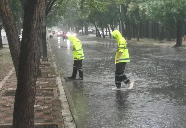 防汛常規(guī)物資中主要包含麻袋吸水膨脹袋,無紡布吸水膨脹袋,防汛沙袋,防汛噸袋,防汛編織袋,雨衣,雨靴,雨傘,彩條布,工兵鏟,十字鎬,八磅錘,應(yīng)急救生包等。